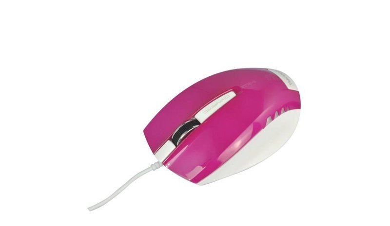 E-Blue Dynamic, violetti