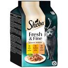 72x50g Fresh & Fine kana, kalkkuna & ankka kastikkeessa Pedigree