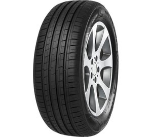 Minerva F209 205/65R16 95 H