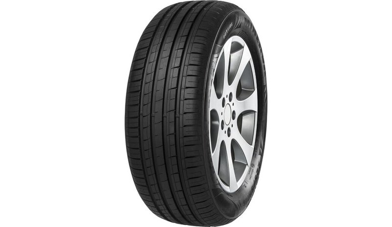 Minerva F209 205/65R16 95 H