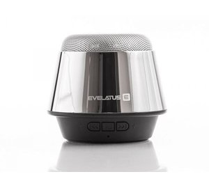 Evelatus ESP01, hopea