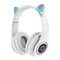 Bemi B39 Cat White – kuva 1