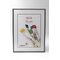Valokuvakehys Easy 50x60 cm – kuva 1
