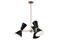 Phix Kichler Crown - – kuva 2