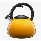Viheltävä vedenkeitin Ambition Ombre, 3 l