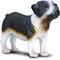 Figuuribulldoggi Collecta, koko M – kuva 1