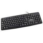 Titanum TK101BG