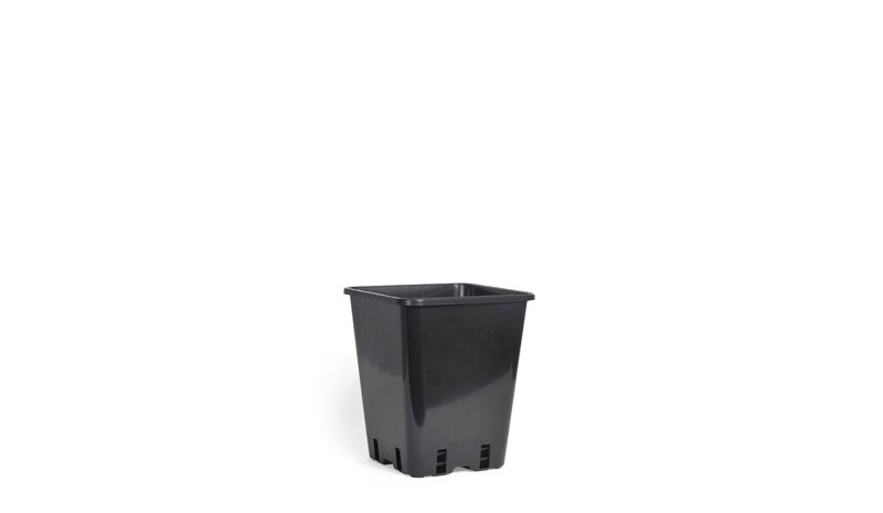 Nelson Garden musta 20cm muoviruukku