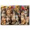 Educa Kittens And Birds 500p palapeli – kuva 1