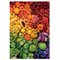 Educa Colorful Vitamines 1000p palapeli – kuva 1