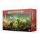 Warhammer Age Of Sigmar - Introduction set – kuva 1