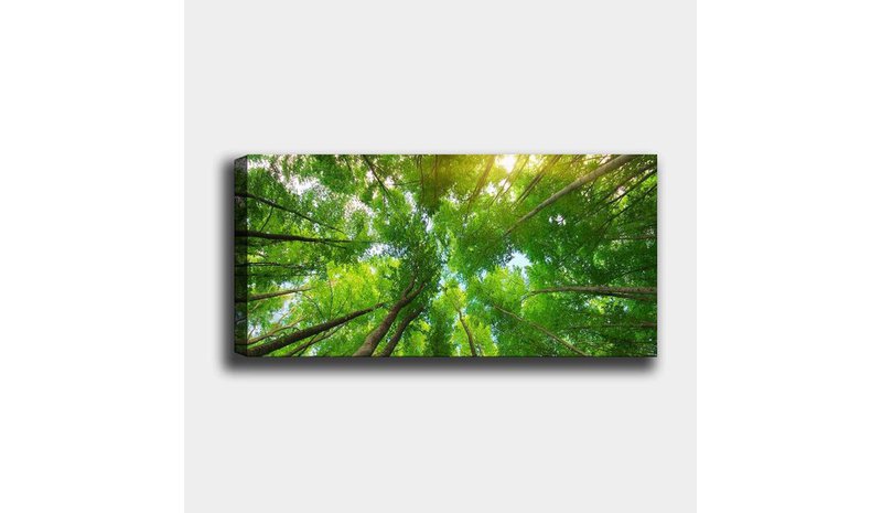 Sisustustaulu Upeat puut, 30 x 80 cm – kuva 1/1