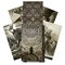 Gustave Doré Tarot-kortit – kuva 1