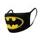 Pyramid International DC Comics Batman – kuva 1