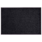 Hanse Home kynnysmatto Wash & Clean, 40x60 cm