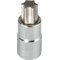 Bit Torx T30 1/4 Proline – kuva 1