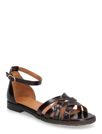 Billi Bi Sandals - Brown - 42