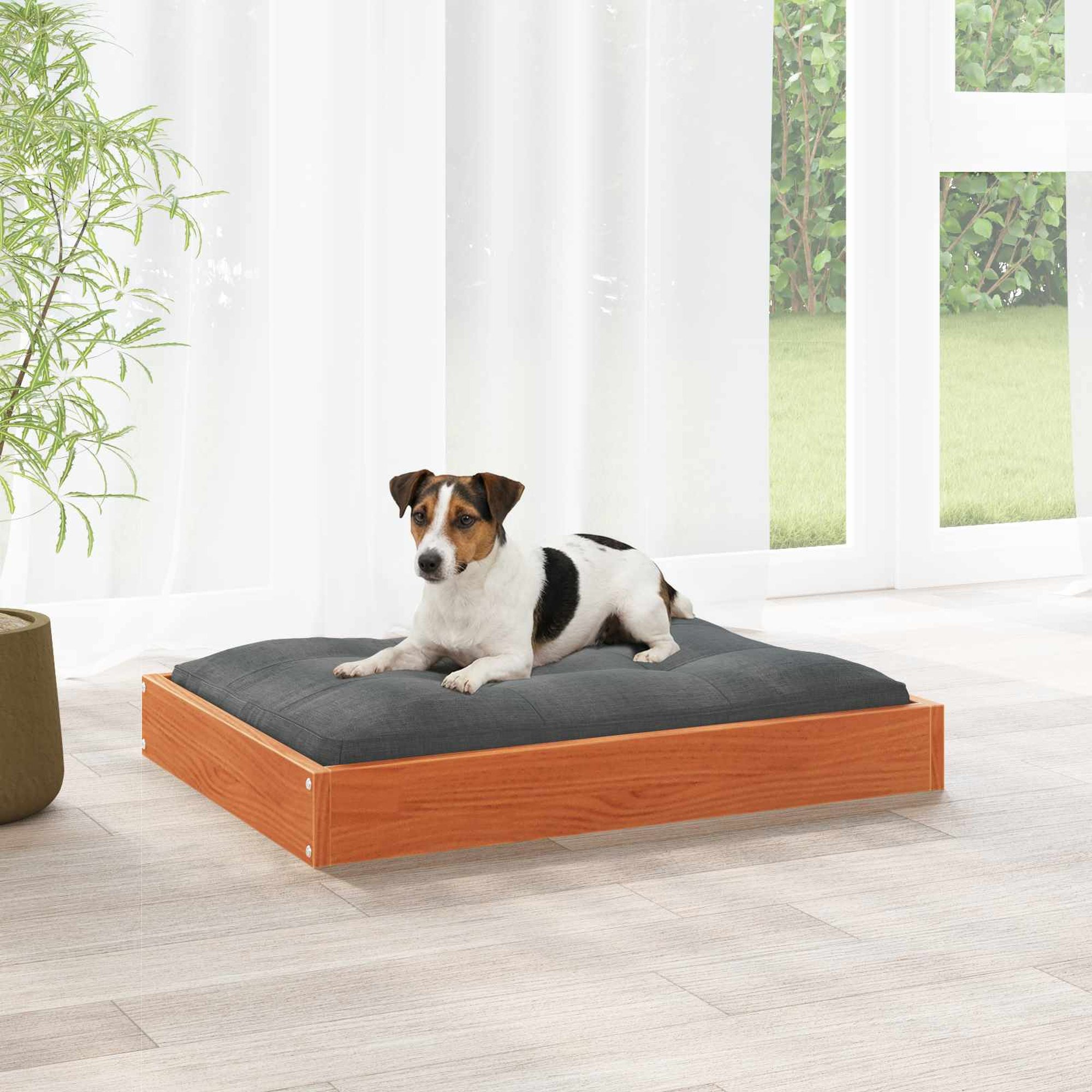 vidaXL Koiran Peti 72 x 54 x 9 cm Massiivinen mänty Vahanruskea