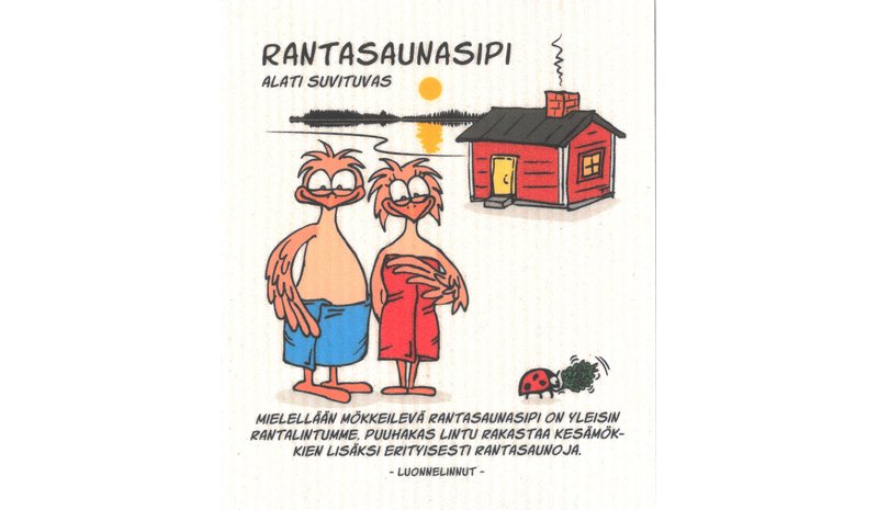 More Joy rantasaunasipi ekoliina