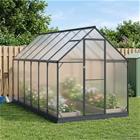 vidaXL Puutarhan Viherhuone ovella Antrasiitti 183,5 x 363,5 x 207 cm