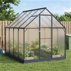 vidaXL Puutarhan Viherhuone ovella Antrasiitti 183,5 x 243,5 x 207 cm