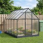 vidaXL Puutarhan Viherhuone ovella Antrasiitti 183,5 x 303,5 x 207 cm