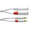 Cordial 2 x RCA - 2 x XLR, 3 m – kuva 1