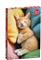 CherryPazzi I'm In Charge Here 500p palapeli – kuva 1