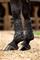 Lemieux - Motion Cool Tendon Boot - Black - Large – kuva 1