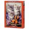 Castorland Musical Kittens 500p palapeli – kuva 1