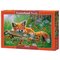 Castorland Foxy Dreams 500p palapeli – kuva 1