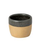 Costa Nova Arenito Espresso Krus - Grey - ONE SIZE