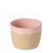 Costa Nova Arenito Lattekrus - Pink - ONE SIZE – kuva 1