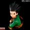 Hunter X Hunter - Gon (Bust Collection) – kuva 1