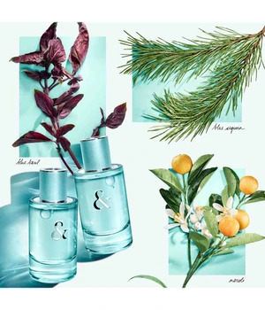 Tiffany & Co Love For Her - EdP 90 ml