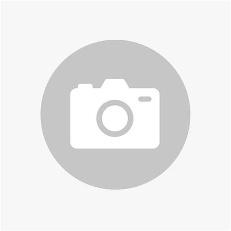 Norlys Modena 381 Big Seinävalaisin E27, IP54