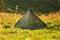 DD Hammocks Superlight Pyramid Mesh teltta – kuva 1