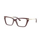 Lasit vahvuuksilla Jimmy Choo JC3002B 5018