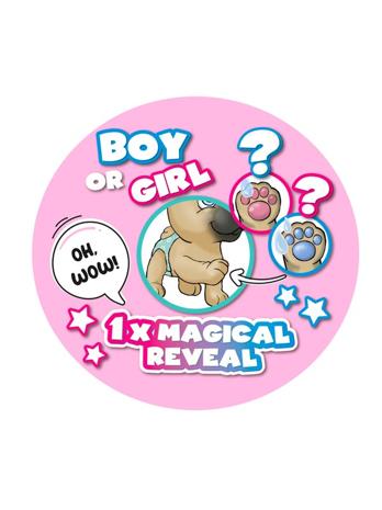 Pamper Petz Koira lääkäritarvikkeilla