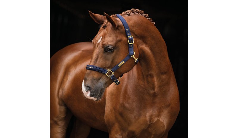 Hansbo Sport - Halter EQUESTRIAN LIFE - Ponny – kuva 1/1