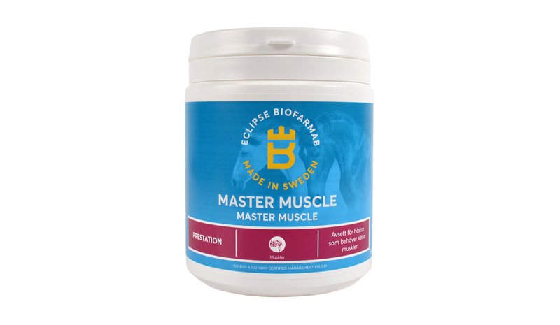 Biofarmab - Master Muscle - 600g