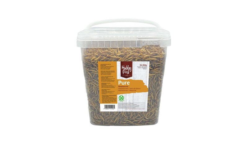 Hobby First - Pure Mealworms - 850g