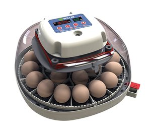 Willab - Egg incubator with room for 22 eggs - fully automated