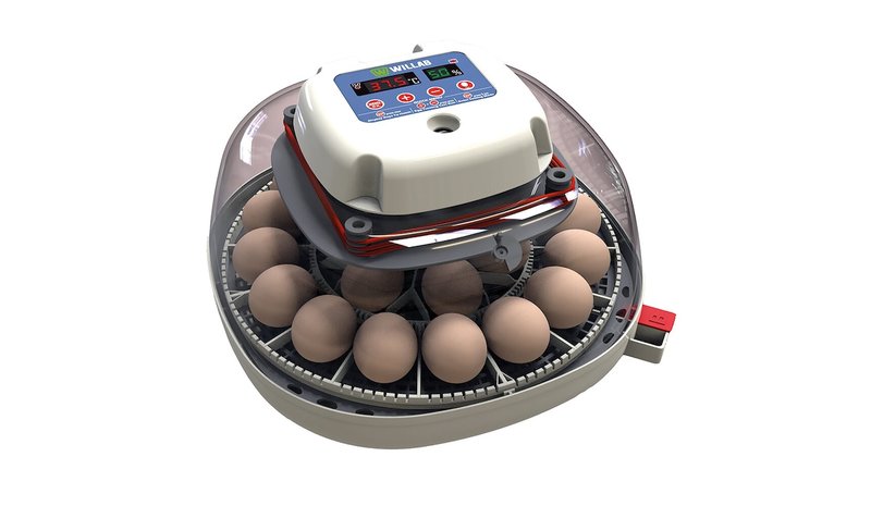 Willab - Egg incubator with room for 22 eggs - fully automated