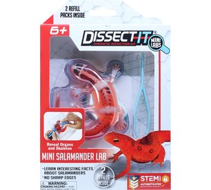 Sensory Compounds - Salamander In Giftbox (12-38085)