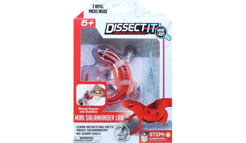 Sensory Compounds - Salamander In Giftbox (12-38085)