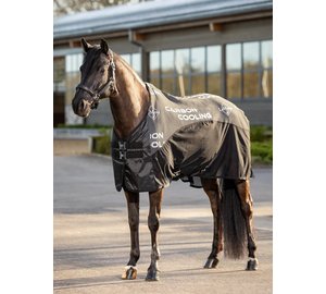 Lemieux - Carbon Cooler Rug - Black - 6'9"