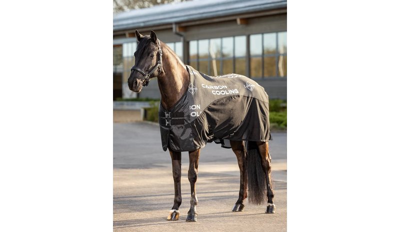 Lemieux - Carbon Cooler Rug - Black - 6'9"