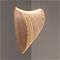 Luceplan Illan Pendant Phase Cut Dimmer 100 cm, Birch – kuva 8