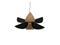 Forestier - Lys Riippuvalaisin M Black Forestier – kuva 2